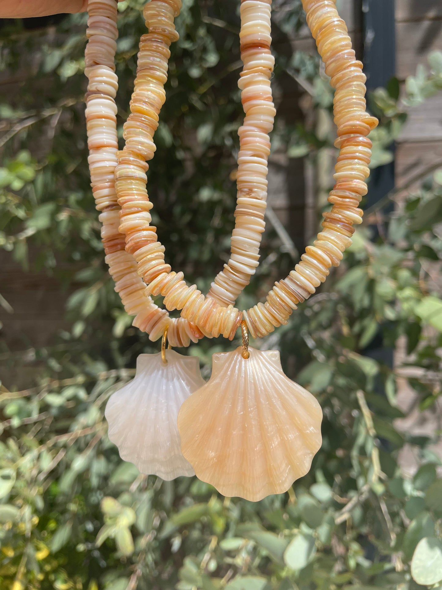 Collier coquillage
