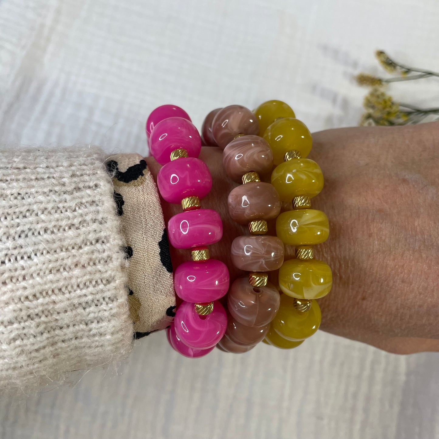 Paloma  + de couleurs