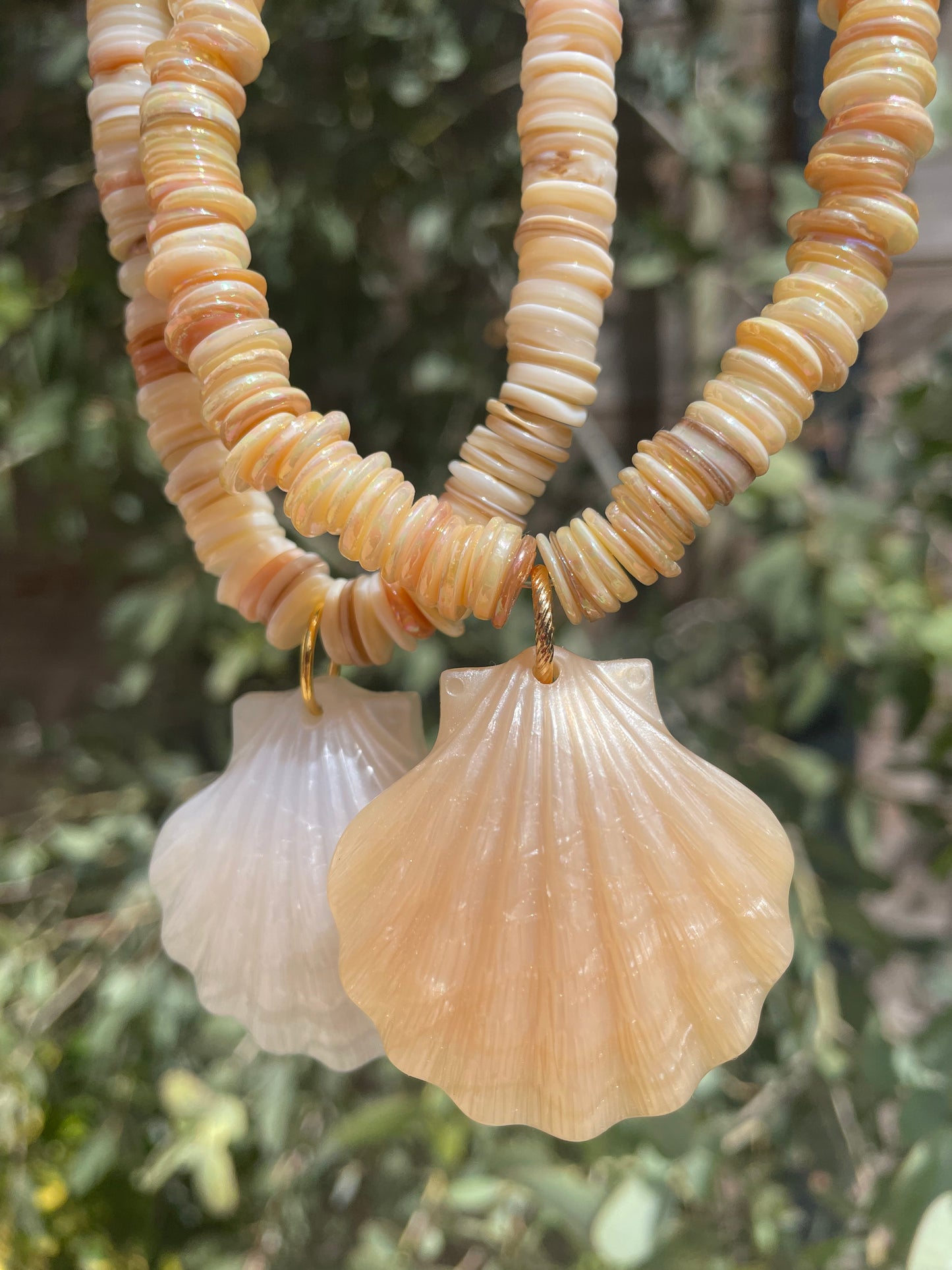 Collier coquillage