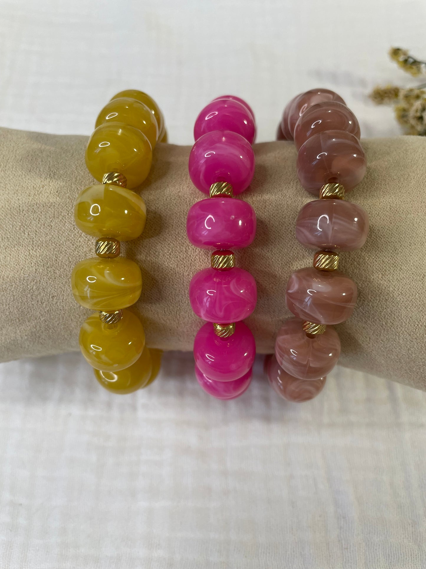 Paloma  + de couleurs